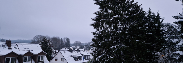 Grauer Winterhimmel über verschneiten Hausdächern